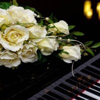 Rose and Piano