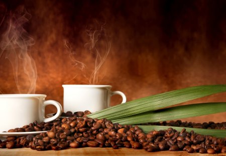 Coffee - photo, cup, coffee, sugar