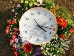 Clock in flowers