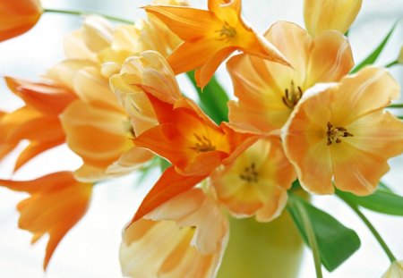 Golden Yellows - flowers, yellow, vase