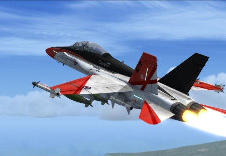 F-18D  - air, firepower, wing, force, plane, military