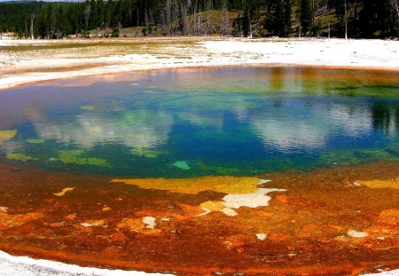 interesting pond - interesting, pond