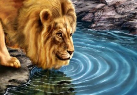 Lion - lions, paint, water, leao, nature, painting, waterning, lion, animals