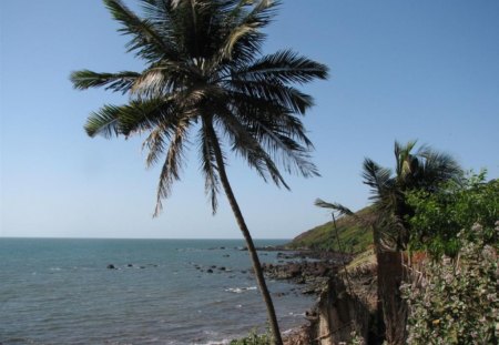 AnjunaBeach Goa  - beach, nature, landscape