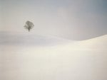 Peaceful Season Near Hirzel Switzerland