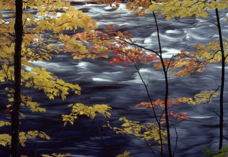 Autumn Colors A Rushing River - colors, river, autumn