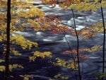 Autumn Colors A Rushing River