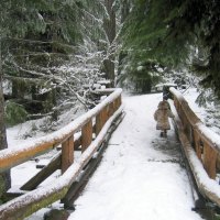 winter path