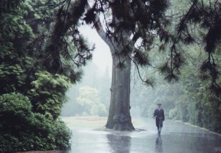 Man in The Rain - guard, nature, green, prague, rain, forest, tree