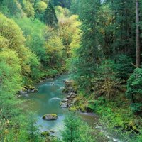 Coquille River,Oregon,USA