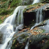 Dark Hollow Falls, Shenandoah National Park, Virginia