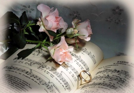 Song for a Lost Love - abstract, roses, pink, marriage ring, soft, song, flowers, other