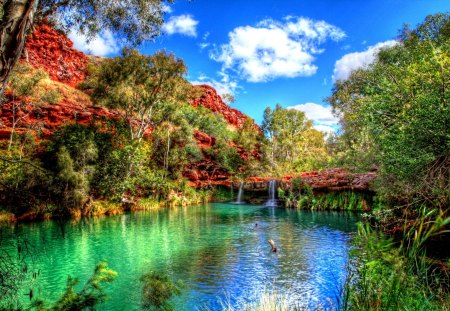 BEAUTIFUL PARK - nature, trees, park, warefalls, hdr, pool