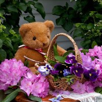 Teddy bear and flower basket