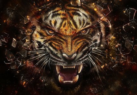 Tiger Predator - tiger teeth, tiger predator, angry tiger, tiger roar, tiger