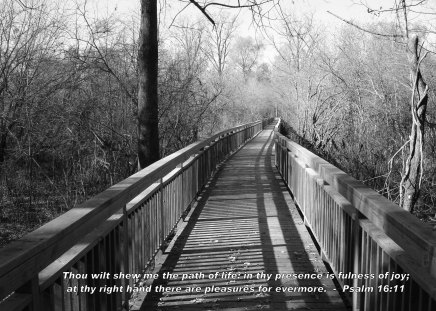 Walkway With Scripture Verse - nature, trees, walkway, scripture, outdoors, greyscale