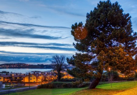 lovely town by the sea - town, lights, tree, sundown, sea, grass