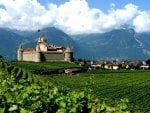 castle surrounded by vineyards in switzerland