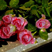 PINK ROSES