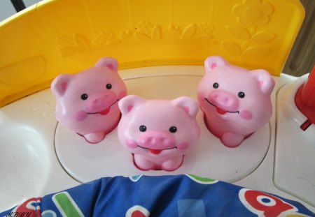 three pink pigs - animals, pink, pigs, photography, yellow, blue