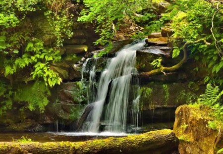 Forest waterfall - calm, quiet, summer, creek, stream, forest, leaves, nice, falling, greenery, trees, water, beautiful, lovely, stones, fall, nature, waterfall, green, rocks