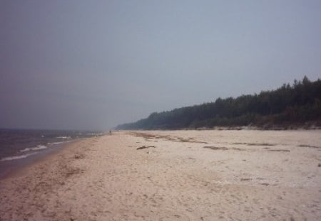 Poland - Stegna - beach, forest, sea, poland