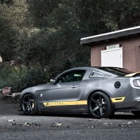 Sterling Grey Mustang