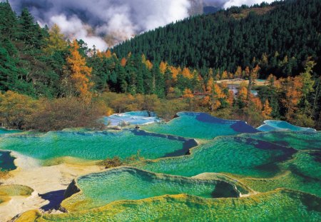 gorgeous pools in huanglong preserve china - formation, forest, pool, rocks, preserve