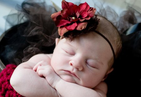 *** Sleeping Princess ***