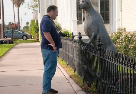 Bow Wow - Dog, Statue, Stare, Man