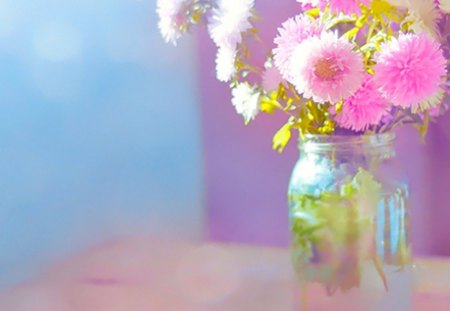 Before Noon - flowers, vase, pink, noon