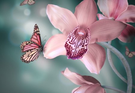 Pink Orchid - flowers, butterflies, butterfly, orchids, orchid, pink