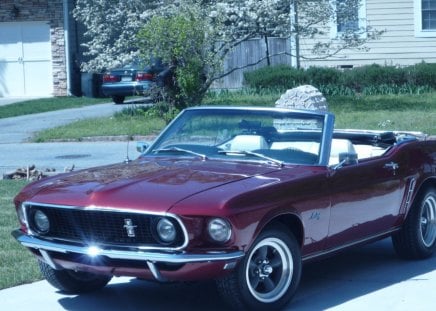 classic mustang - ford, mustang, car, road