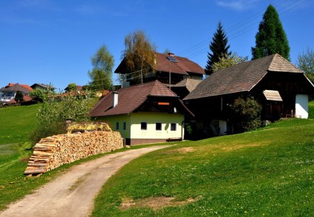 carinthia southern austria - grass, austria, houses, tree