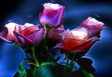 lights in the beautiful roses - rose, branch, flower, red