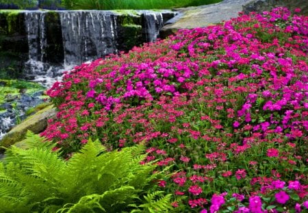 Forest fall - pretty, summer, spring, forest, flowers, fresh, purple, red, nice, place, falling, greenery, water, beautiful, lovely, freshness, fall, nature, waterfall, rocks