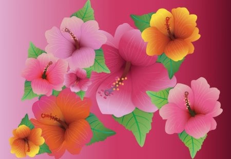 Hibiscus art - hibiscus, vector, yellow, pink, flowers, flower