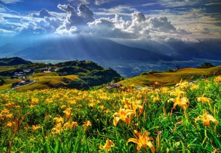 Flowers - clouds, hills, yellow, landscape, lillies, sky