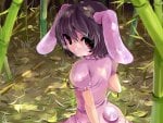 Cute Bunny