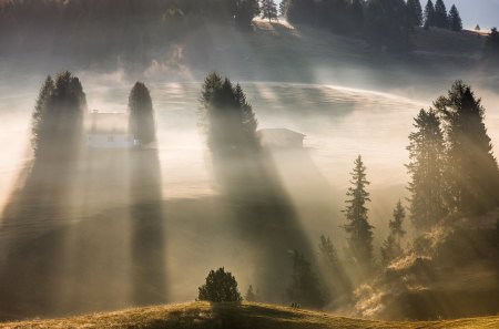 Foggy Morning - dawning, landscapes, hills, trees