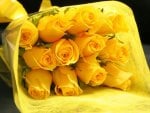 yellow roses