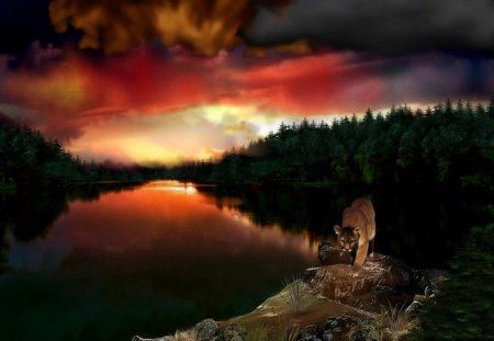 Glowing River 1920x1080 - BigCats, Water, MountainLions, Cougars, Cats, River, Rivers, Sunsets