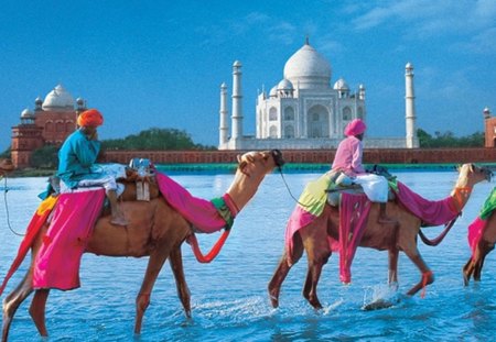 the Taj Mahal - Bedouins, monument, Bedouin, caravan, camels, architecture