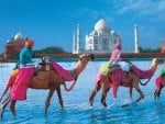 the Taj Mahal