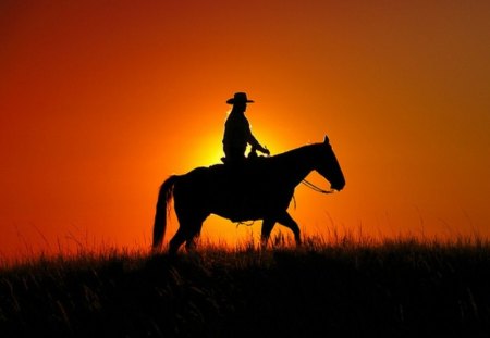 Heading home - ride, sunset, girl, horse