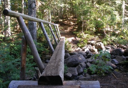 Forest Bridge - nature, hike, foot bridge, trail, wood bridge, bridge