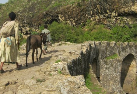 Portuges Bridge - boy, ethiopia, donkey, bridge, old woman