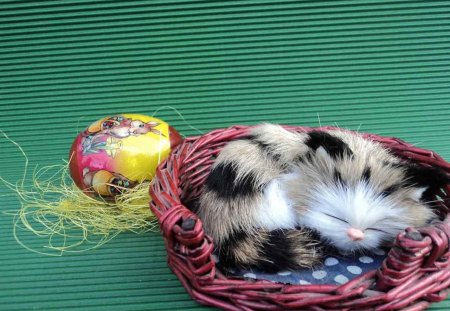 A easter cat - easter, cute, cat, basket, eggs