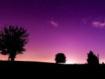 starry purple sunset