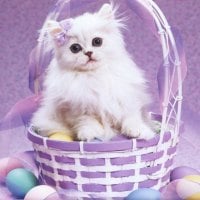 An easter cat in a basket